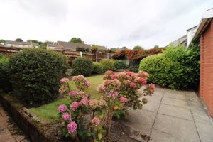 Photo 7- click for photo gallery